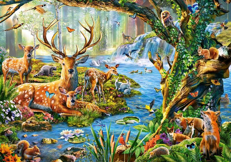 Castorland - Forest Life - 500 Piece Jigsaw Puzzle