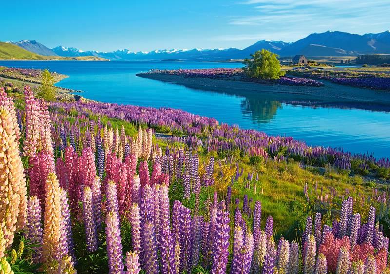 Castorland - Lake Tekapo New Zealand - 500 Piece Jigsaw Puzzle