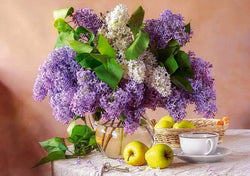 Castorland - Lilac Still Life - 500 Piece Jigsaw Puzzle