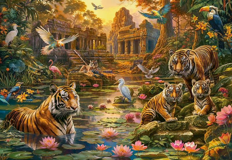 Castorland - Tigers Paradise - 1000 Piece Jigsaw Puzzle