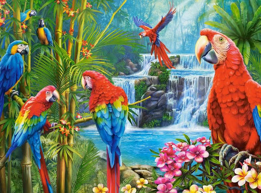 Castorland - Parrot Meeting - 2000 Piece Jigsaw Puzzle