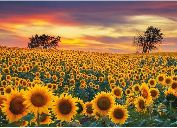 Wentworth - Sunflower Field - 40 Piece Wooden Jigsaw Puzzle