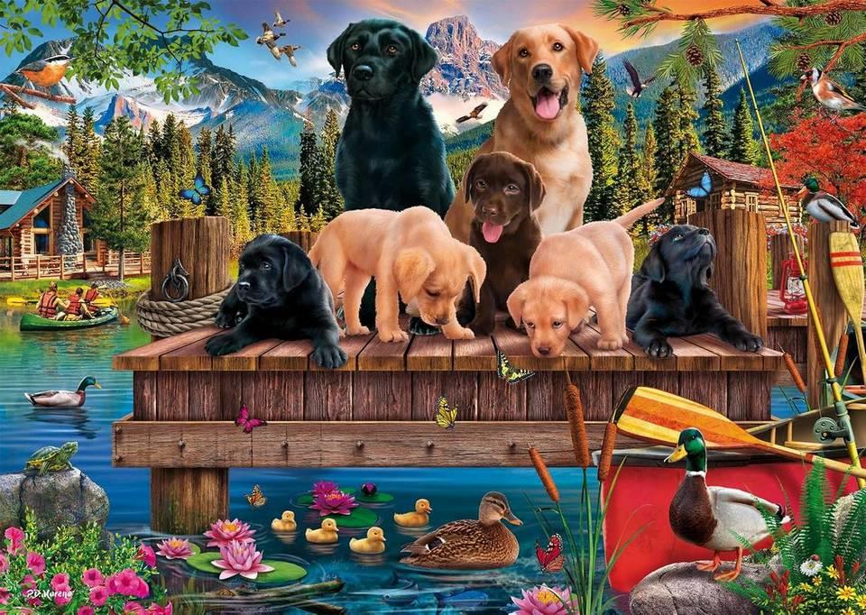 Schmidt - Dog Family by the Lake - 1000 Piece Jigsaw Puzzle