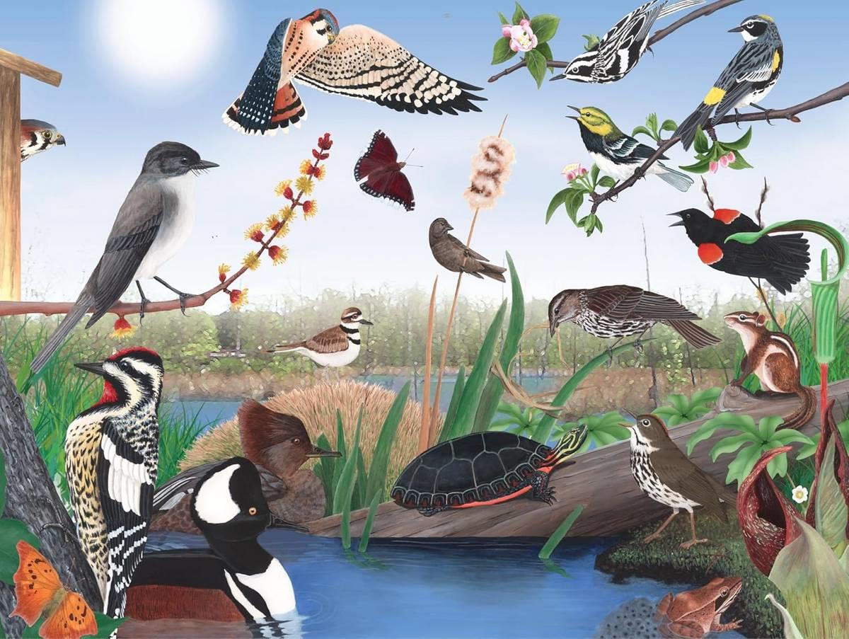 New York Puzzle Company - Spring Trail - 1000 Piece Jigsaw Puzzle