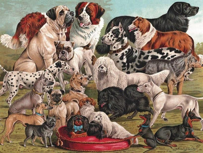 New York Puzzle Company Dog Show, 500-piece jigsaw puzzle