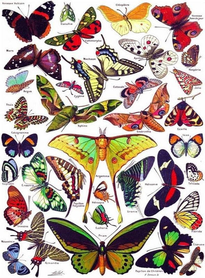 New York Puzzle Company - Butterflies - 1000 Piece Jigsaw Puzzle