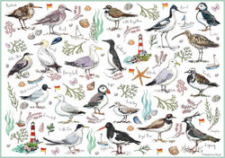 Otter House - Seabirds - 500 Piece Jigsaw Puzzle
