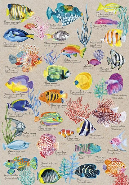 Calypto - Poissons Exotiques - 500 Piece Jigsaw Puzzle