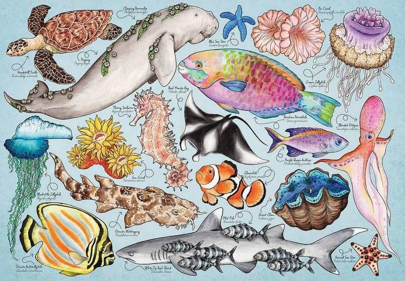 House of Puzzles - Great Barrier Reef - 150 Piece Mini Jigsaw Puzzle in a Tube