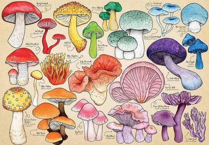 House of Puzzles - Mushroom Mania - 150 Piece Mini Jigsaw Puzzle in a Tube