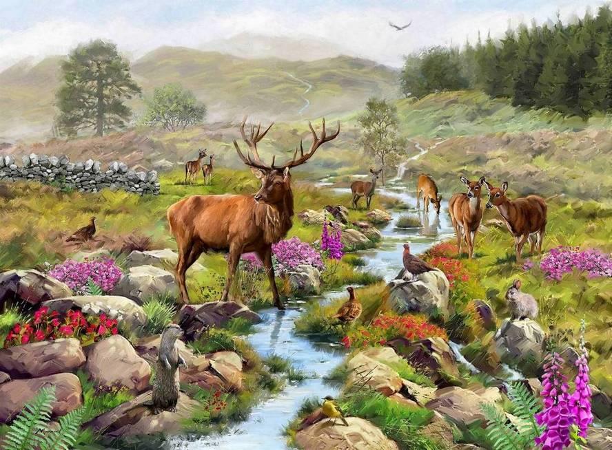 House of Puzzles - Highland Majesty - 1000 Piece Jigsaw Puzzle