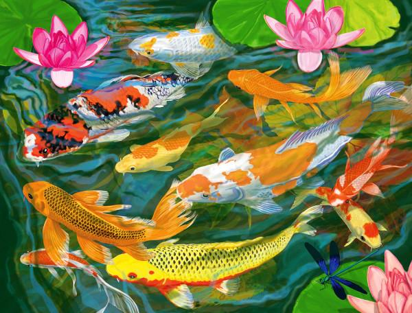 Springbok - Koi Pond - 1000 Piece Jigsaw Puzzle