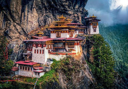 Clementoni - The Tigers Nest - 500 Piece Jigsaw Puzzle