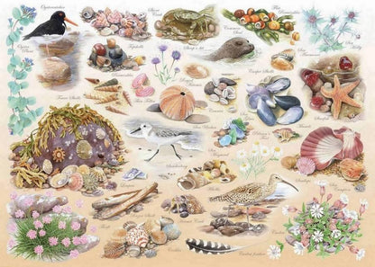 House of Puzzles - Sea Shore - 500XL Piece Jigsaw Puzzle