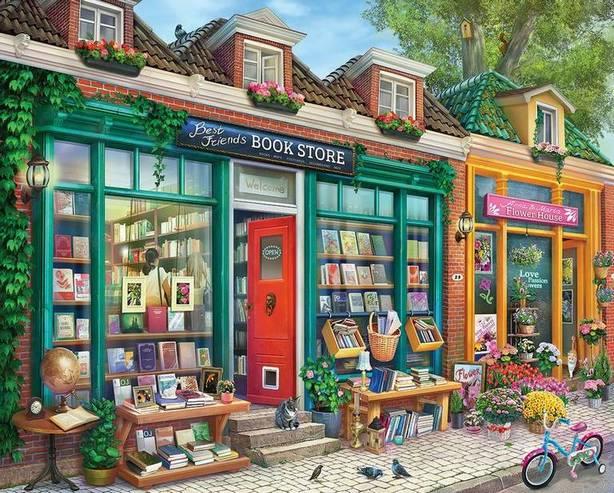 White Mountain - Best Friends Bookstore  - 500 Piece Jigsaw Puzzle