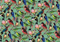 House of Puzzles - Brilliant Birds - 1000 Piece Jigsaw Puzzle