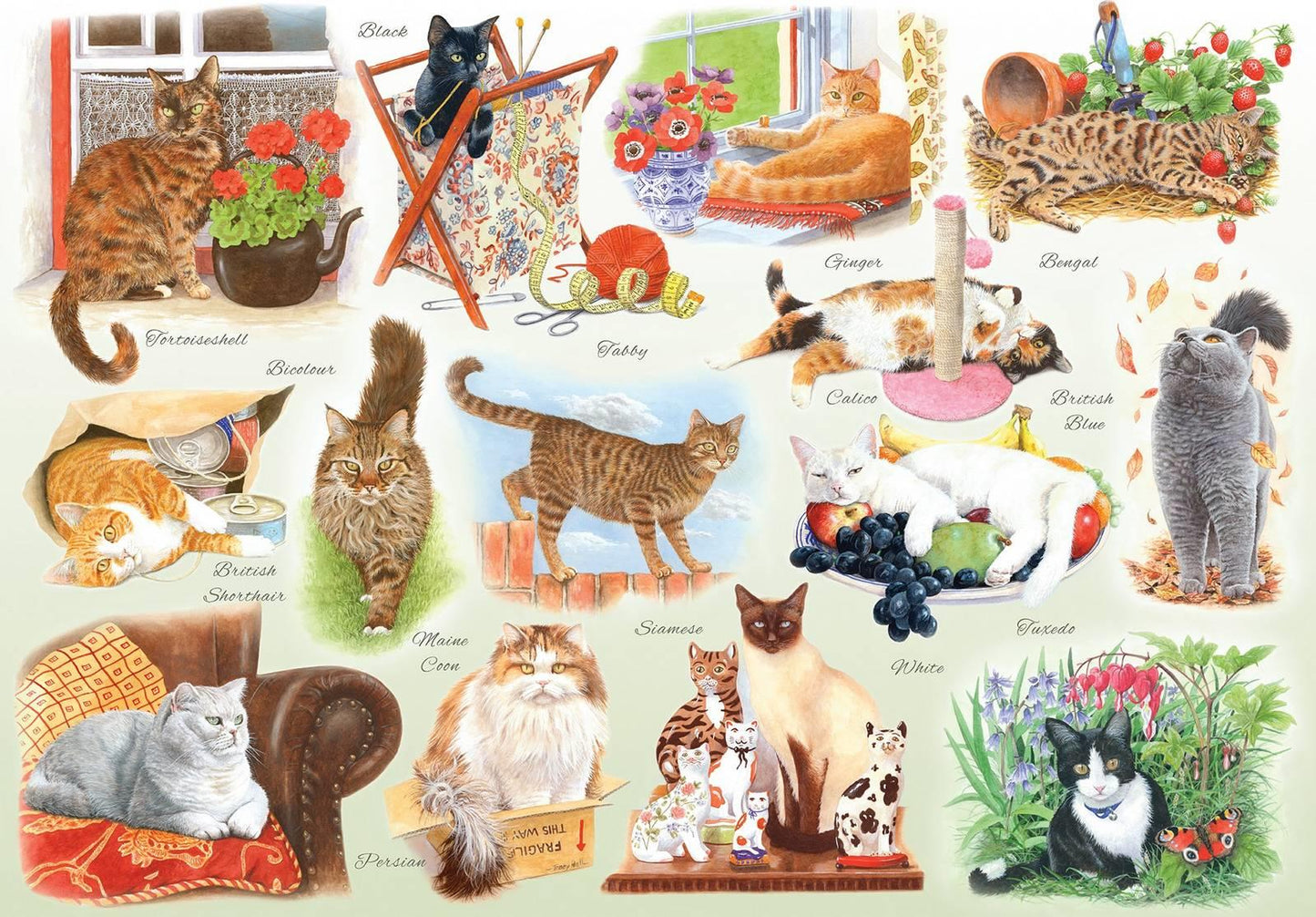 House of Puzzles - A Clowder of Cats - 500XL Piece Jigsaw Puzzle