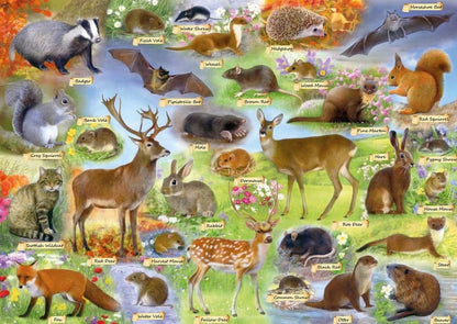 Gibsons - British Wildlife - 500 Piece Jigsaw Puzzle