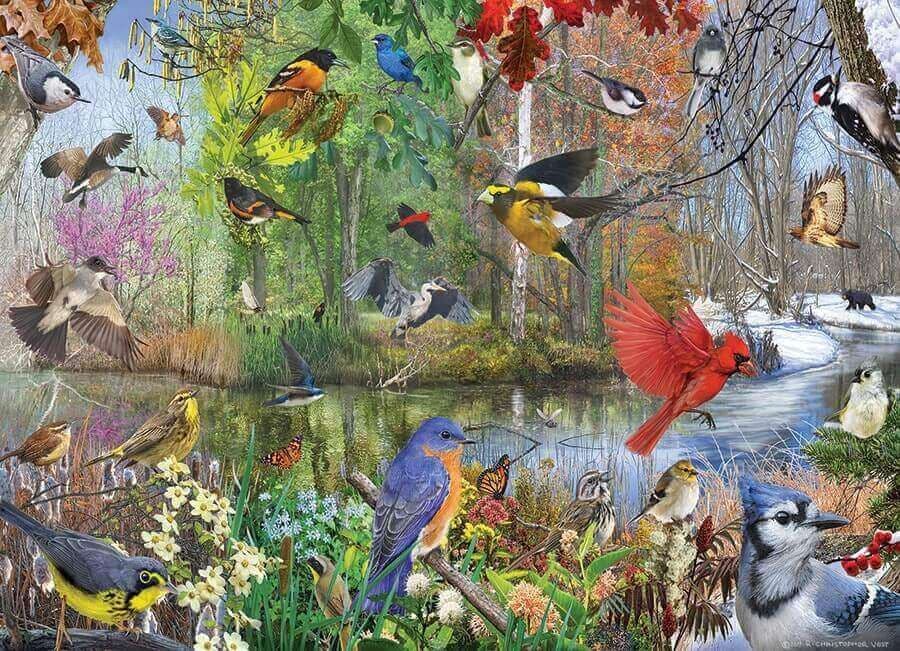 Cobble Hill - Birds of the Season - 1000 Piece Jigsaw Puzzle