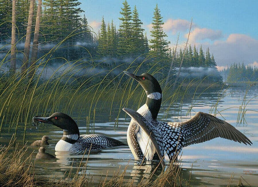 Cobble Hill - Common Loons - 1000 Piece Jigsaw Puzzle