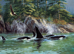 Cobble Hill - Orcas - 1000 Piece Jigsaw Puzzle