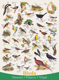 Eurographics - Birds - 1000 Piece Jigsaw Puzzle