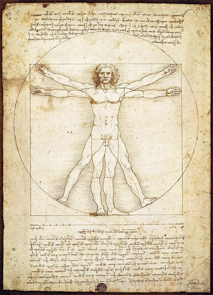 Eurographics - Da Vinci - The Vitruvian Man - 1000 Piece Jigsaw Puzzle