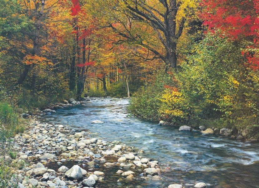 Eurographics - Forest Stream - 1000 Piece Jigsaw Puzzle