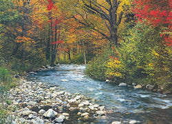 Eurographics - Forest Stream - 1000 Piece Jigsaw Puzzle