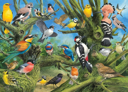 Eurographics - Garden Birds - 1000 Piece Jigsaw Puzzle