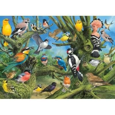 Eurographics - Garden Birds - 1000 Piece Jigsaw Puzzle