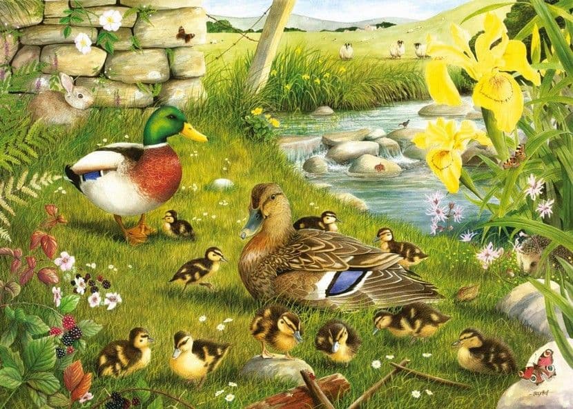 House of Puzzles - Ducks to Water - 500XL Piece Jigsaw Puzzle