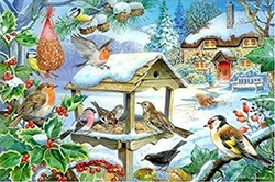 House of Puzzles - Feed the Birds - 250XL Piece Jigsaw Puzzle