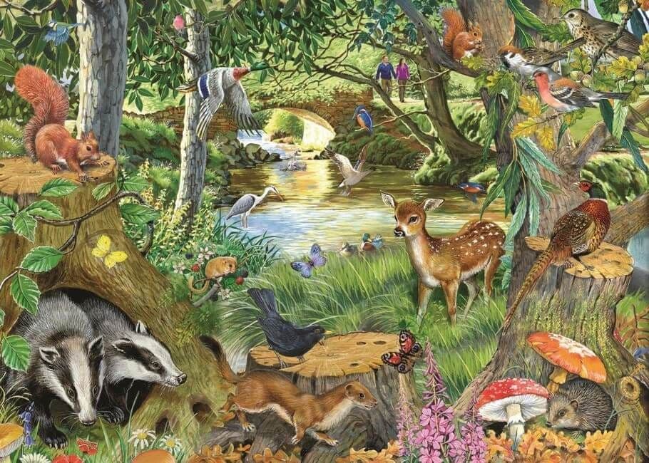 House of Puzzles - Riverside Glade - 500XL Piece Jigsaw Puzzle