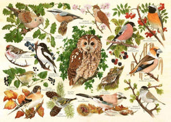 House of Puzzles - Woodland Birds - 500XL Piece Jigsaw Puzzle