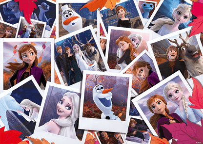 Jumbo - Disney Pix Collection Frozen 2- 1000 Piece Jigsaw Puzzle