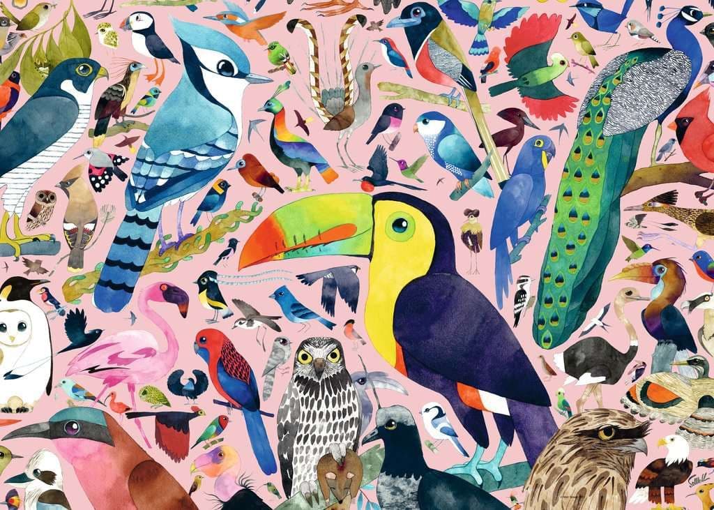 Ravensburger - Matt Sewell's Amazing Birds, 1000 Piece Jigsaw Puzzle