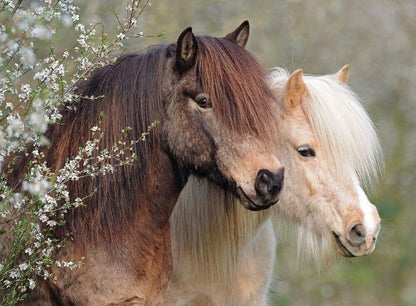 Ravensburger - Perfect Ponies 150 XXL Piece Jigsaw Puzzle