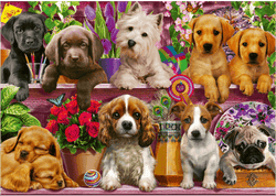 Schmidt - Dog in the Shelves - 500 Piece Jigsaw Puzzle