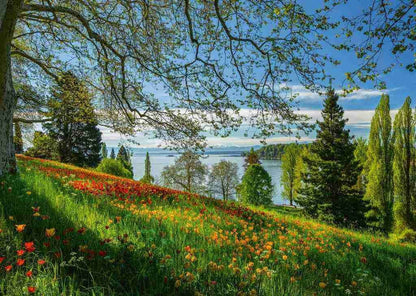 Schmidt - Spring Avenue Mainau - 1000 Piece Jigsaw Puzzle